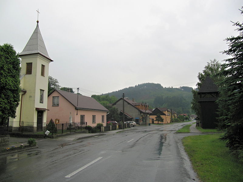 Vyklízení Držková
